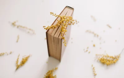 3 Tipps für die Neuauflage