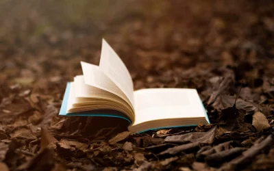 So bereitest du deinen Text fürs Korrektorat vor