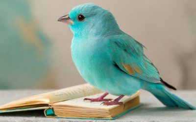 Das habe ich 2023 gelernt