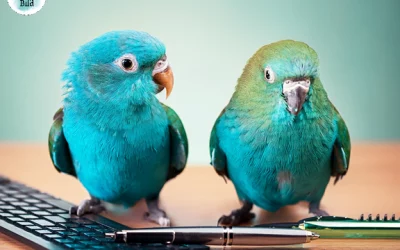 Stift oder Tastatur? Womit schreibt es sich besser?