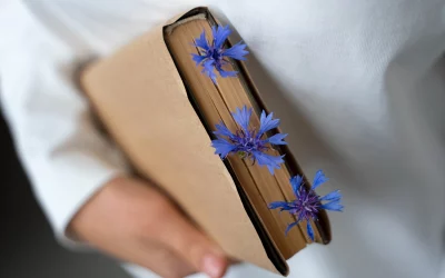 Sachbuch-Aufbau: So sieht ein Sachbuch aus